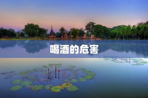喝酒的危害：从身体、心理和社交角度分析