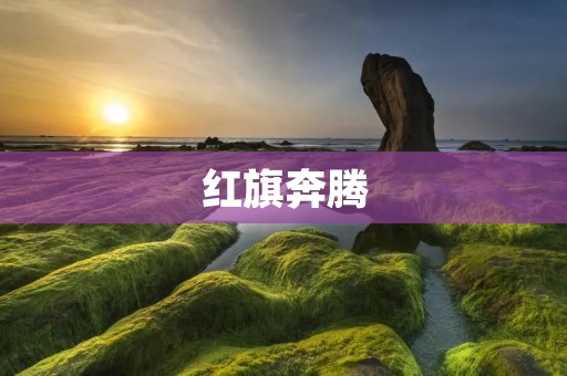 红旗奔腾：中国汽车工业的崛起