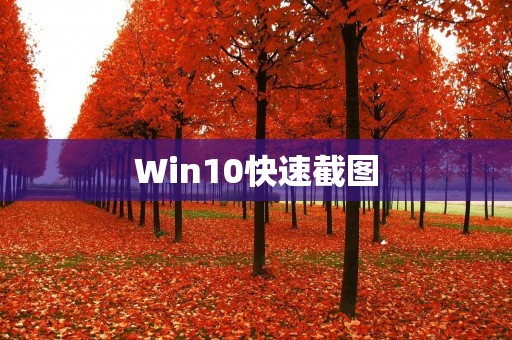 Win10快速截图:让你的截图更加高效 Win10快速截图:让你的截图更加高效