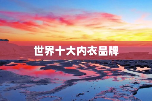 世界十大内衣品牌:领略时尚与品质的完美结合