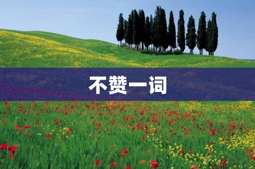 不赞一词：为什么我们应该避免使用否定性词汇