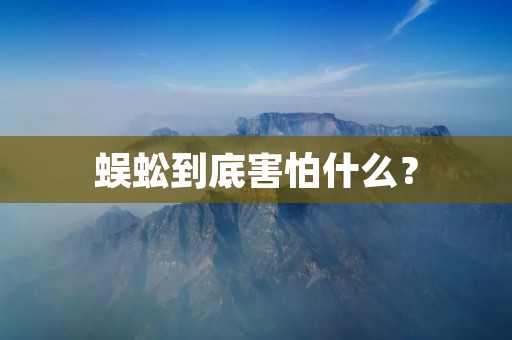 蜈蚣到底害怕什么?