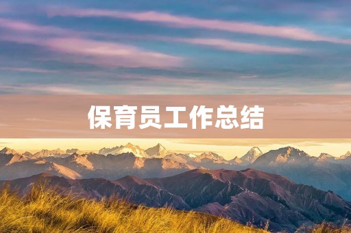 保育员工作总结