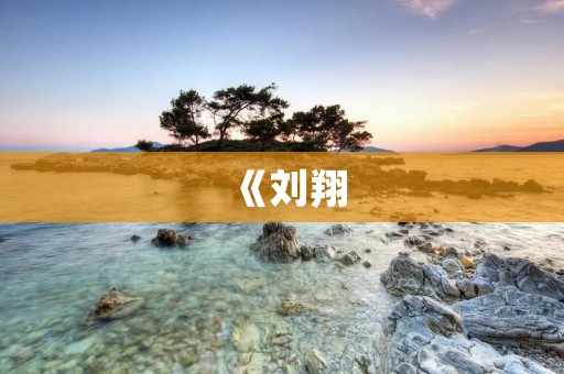 《刘翔：中国飞人的传奇》