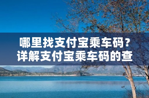 哪里找支付宝乘车码？详解支付宝乘车码的查询方法