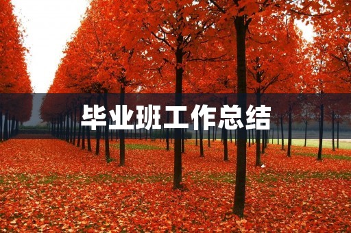 毕业班工作总结:迈出职场的第一步