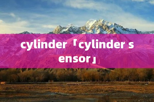 cylinder「cylinder sensor」 cylinder「cylinder sensor」