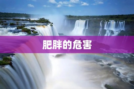 肥胖的危害：一场健康与生命的挑战