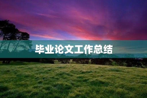 毕业论文工作总结:我的成长与收获