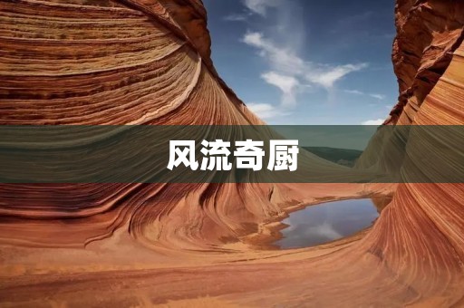 风流奇厨：一场味蕾的盛宴