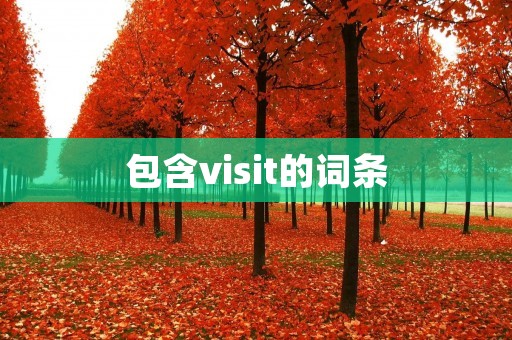 包含visit的词条