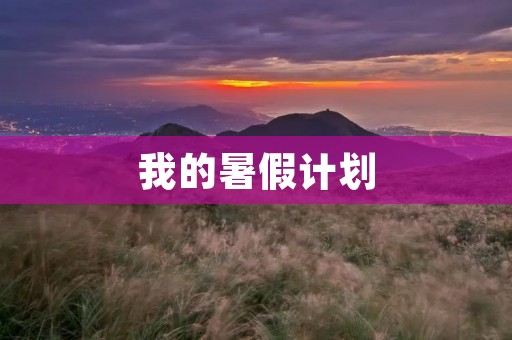 我的暑假计划 我的暑假计划