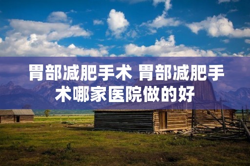胃部减肥手术 胃部减肥手术哪家医院做的好 胃部减肥手术 胃部减肥手术哪家医院做的好