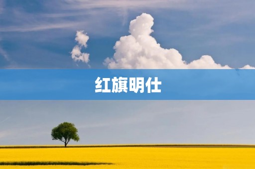 红旗明仕:一款豪华轿车的代表 红旗明仕:一款豪华轿车的代表