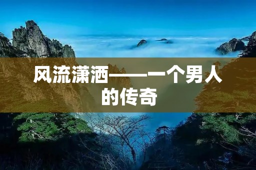 风流潇洒——一个男人的传奇 风流潇洒——一个男人的传奇