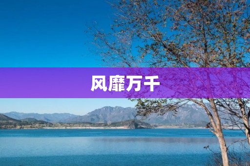 风靡万千:流行文化的魅力 风靡万千:流行文化的魅力
