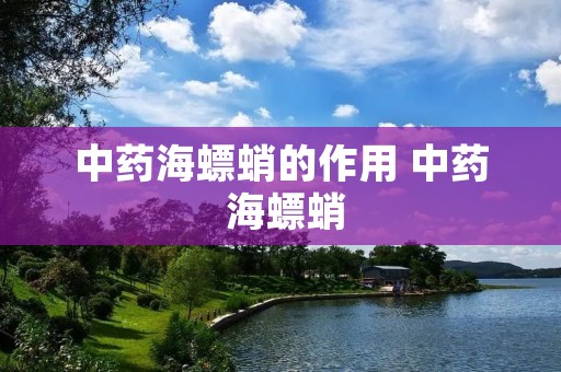 中药海螵蛸的作用 中药 海螵蛸