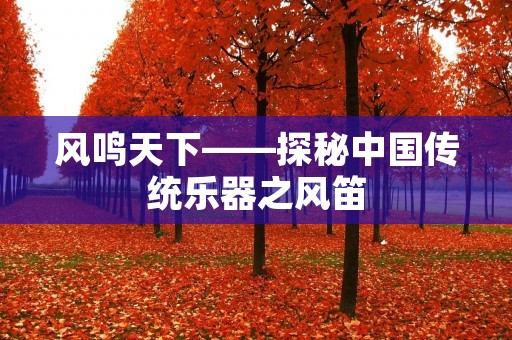 风鸣天下——探秘中国传统乐器之风笛 风鸣天下——探秘中国传统乐器之风笛