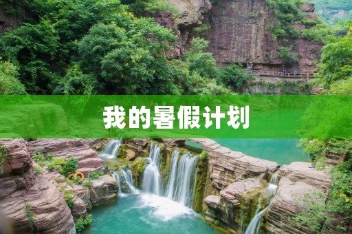 我的暑假计划 我的暑假计划