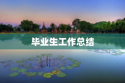 毕业生工作总结:从菜鸟到职业人的成长历程