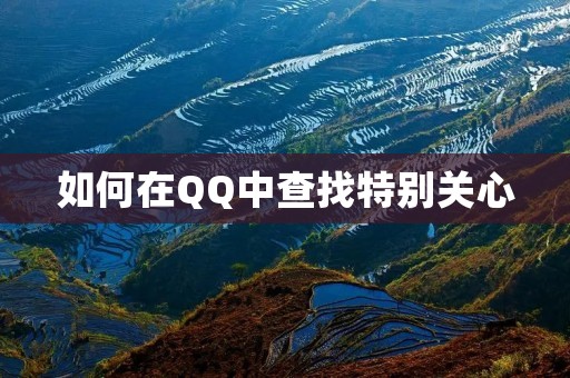 如何在QQ中查找特别关心