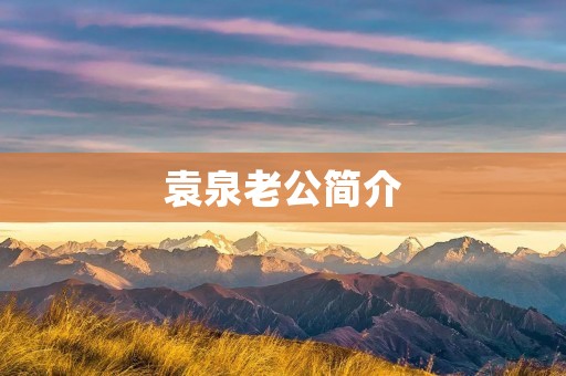 袁泉老公简介:揭开袁泉婚姻背后的故事