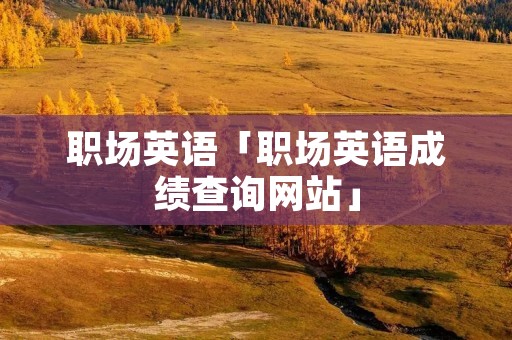 职场英语「职场英语成绩查询网站」