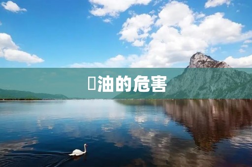 焗油的危害:让你远离“美味”的代价 焗油的危害:让你远离“美味”的代价