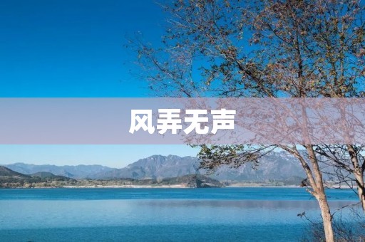 风弄无声:追寻内心深处的真实自我 风弄无声:追寻内心深处的真实自我