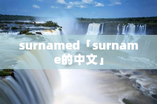 surnamed「surname的中文」