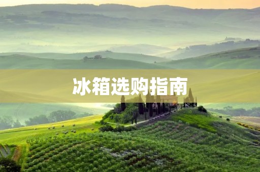 冰箱选购指南:如何选择适合自己的品牌 冰箱选购指南:如何选择适合自己的品牌