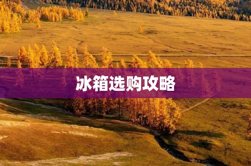冰箱选购攻略：哪些品牌值得信赖？