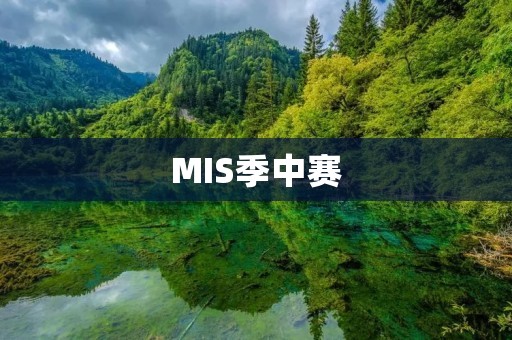MIS季中赛:电竞行业的盛会 MIS季中赛:电竞行业的盛会