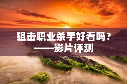 狙击职业杀手好看吗?——影片评测