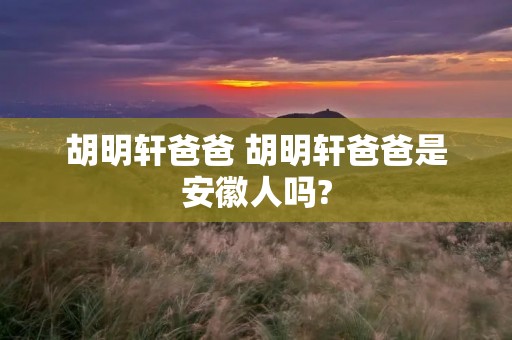 胡明轩爸爸 胡明轩爸爸是安徽人吗?