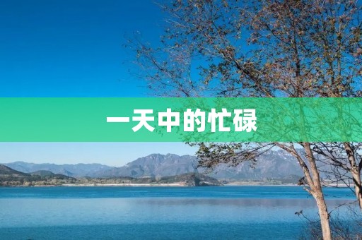 一天中的忙碌
