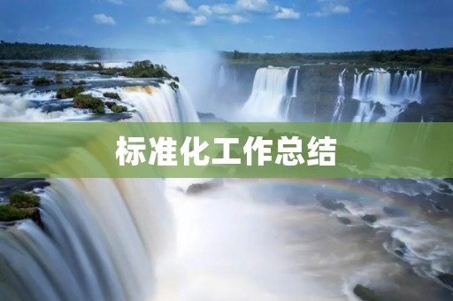 标准化工作总结