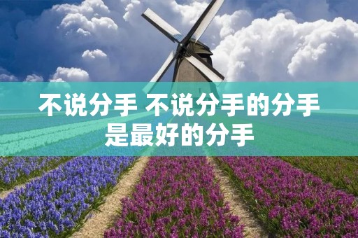 不说分手 不说分手的分手是最好的分手