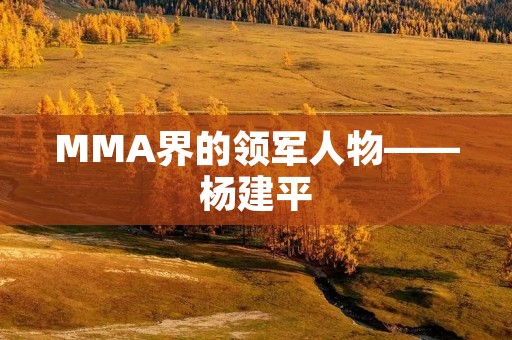 MMA界的领军人物——杨建平 MMA界的领军人物——杨建平
