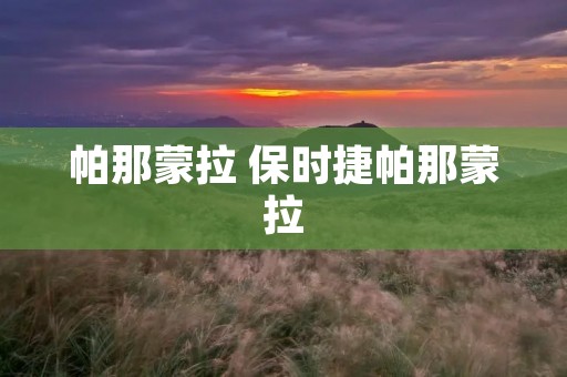 帕那蒙拉 保时捷帕那蒙拉