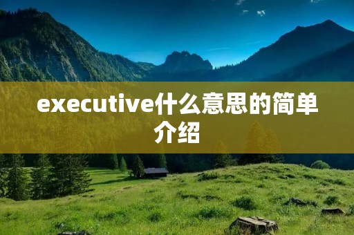 executive什么意思的简单介绍 executive什么意思的简单介绍