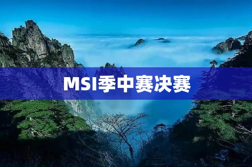 MSI季中赛决赛：LPL战队夺得冠军