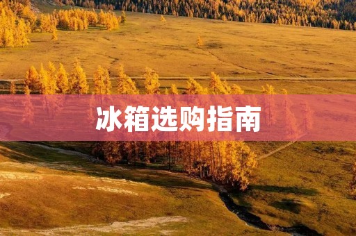冰箱选购指南：哪些品牌的质量更好？