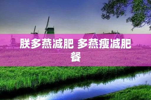 朕多燕减肥 多燕瘦减肥餐