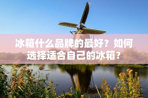 冰箱什么品牌的最好？如何选择适合自己的冰箱？