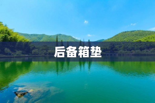 后备箱垫:让你的车内更加整洁 后备箱垫:让你的车内更加整洁