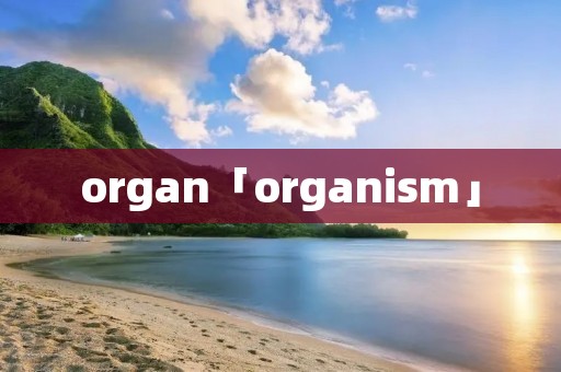 organ「organi**」 organ「organi**」