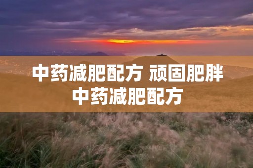 中药减肥配方 顽固肥胖中药减肥配方