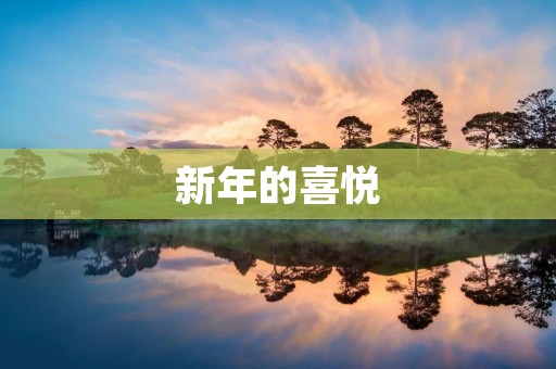 新年的喜悦 新年的喜悦