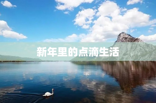 新年里的点滴生活